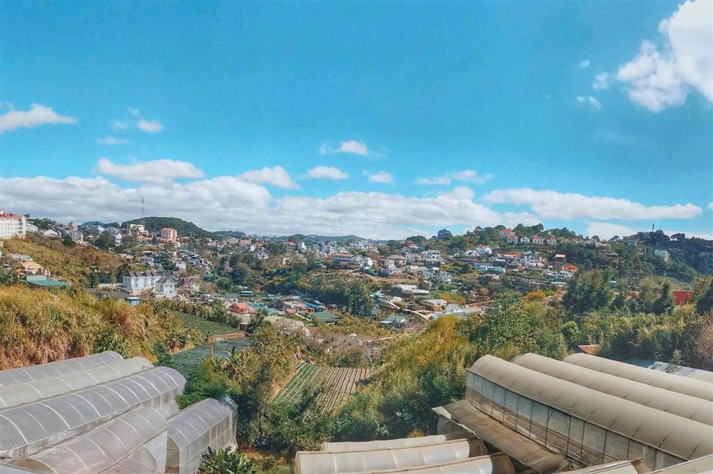 Đà lạt định cư nên cần bán gấp villa view đẹp