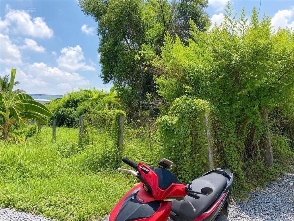 Bán 179m² đất thổ cư, cách 50m đường 830, giá 1,25 tỷ xã long cang, tây ninh