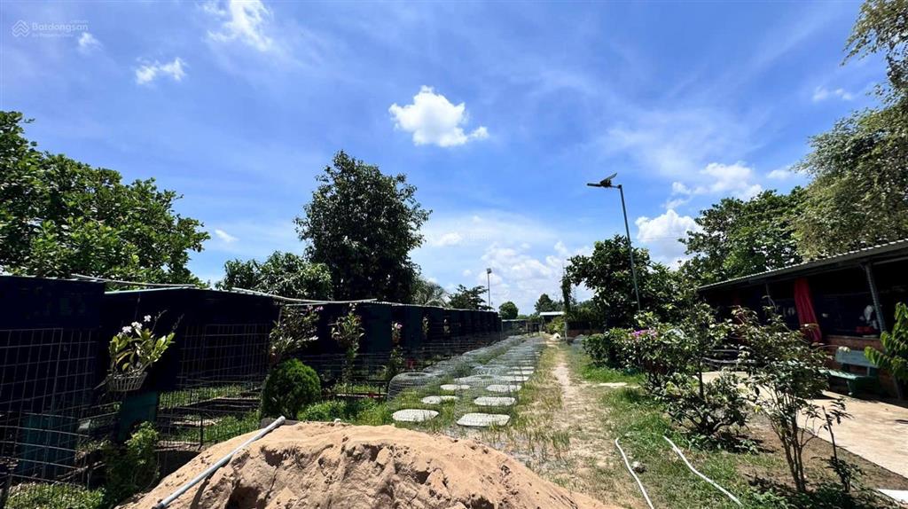 Mặt tiền nhựa 4342m2 ngang 27m dài 129m nở hậu 44m thị trấn hậu nghĩa
