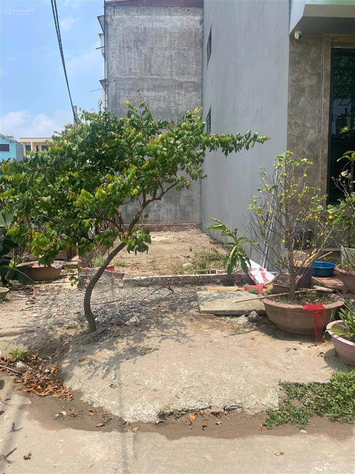 Cắt lỗ lô góc đất dịch vụ tổ 5, vị trí đẹp, phù hợp xây khách sạn