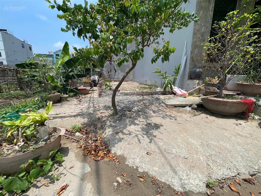 Cắt lỗ lô góc đất dịch vụ tổ 5, vị trí đẹp, phù hợp xây khách sạn