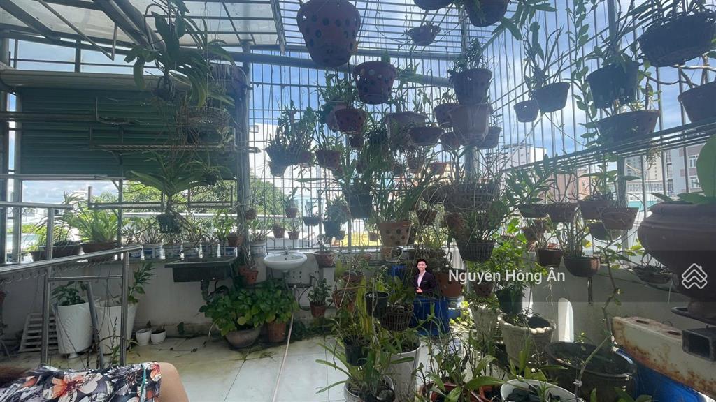Bán nhà 3 tầng gần biển cạnh đường dã tượng, đang kinh doanh sẵn dòng tiền 22 triệu/tháng, 65tr/m2