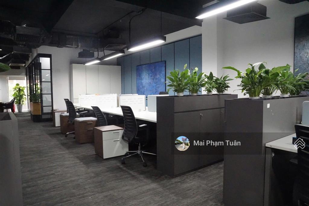 Cho thuê văn phòng sala mặt tiền nguyễn cơ thạch 300m chỉ 130 triệu/tháng