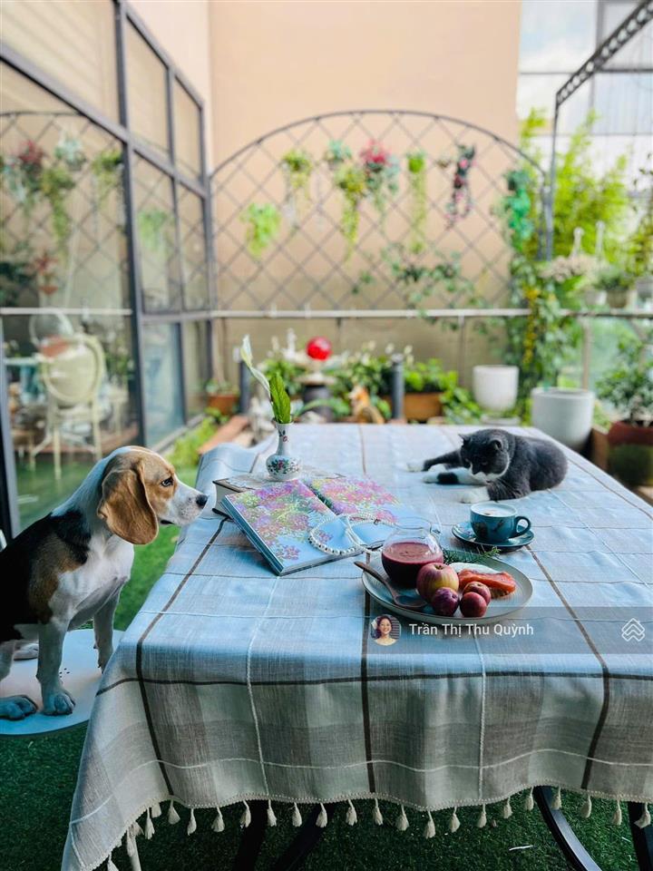 Bán căn penthouse hiếm golden palace mễ trì, giá 35 tỷ có phí, 450m2, giá ưu đãi từ chính chủ