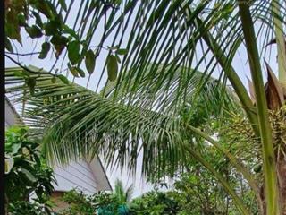 Nhà bán tại đại phước, đồng nai