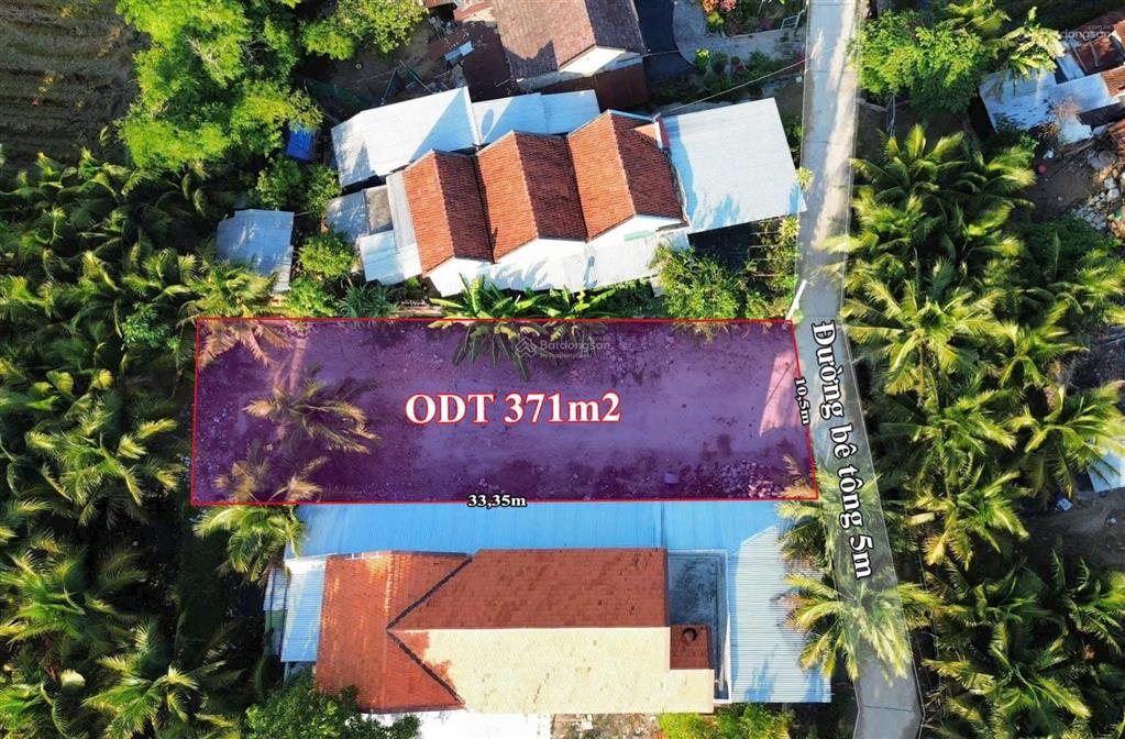 Bán đất phường ninh hoà (ninh đa cũ) hiện trạng đất trống cho ac nào thích trồng rau nuôi cá