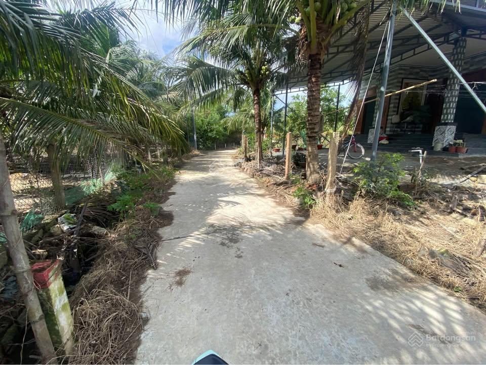 Bán đất phường ninh hoà (ninh đa cũ) hiện trạng đất trống cho ac nào thích trồng rau nuôi cá