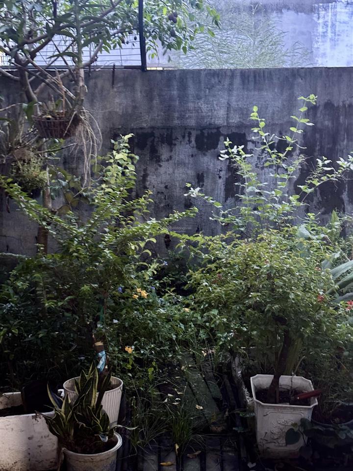 Cho thuê nhà riêng 7 triệu, hơn 100m2 có vườn nguyễn duy trinh đi vào, đường xe tải. giáp quận 2