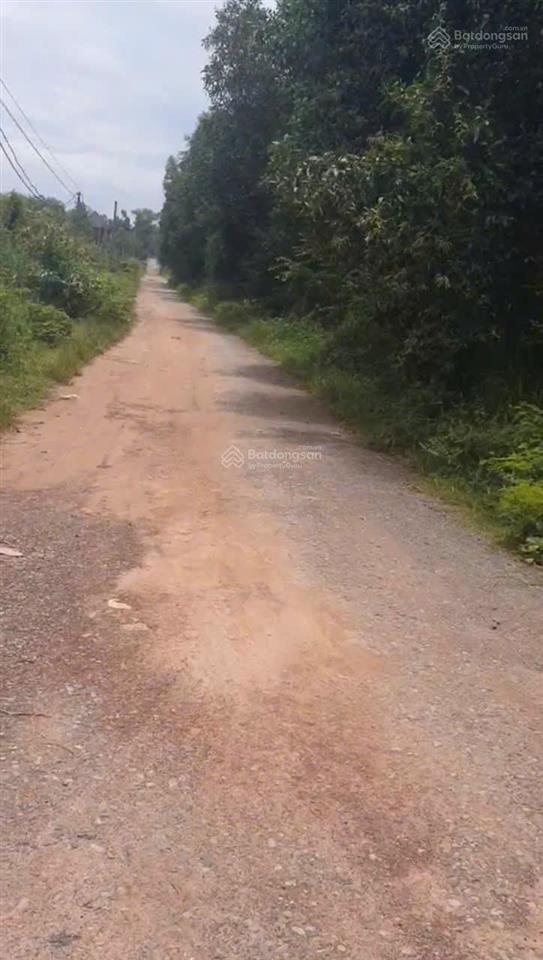 Cần bán đất cln gần kcn bàu xéo trảng bom