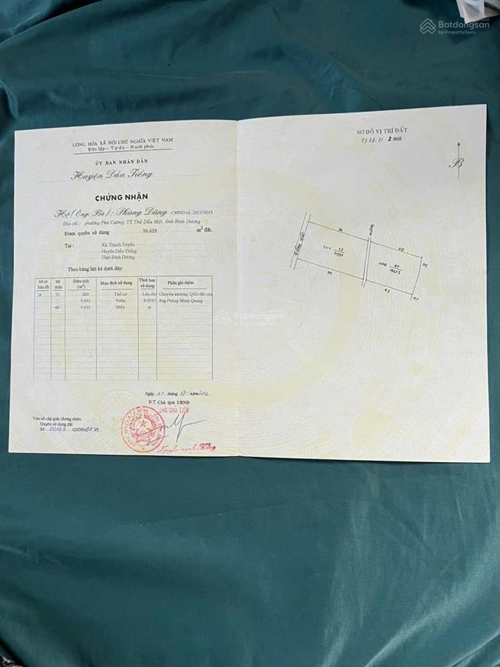 Bán đất đường đt 744 xã thanh tuyền, huyện dầu tiếng, bình dương (phường tây nam tp hồ chí minh)