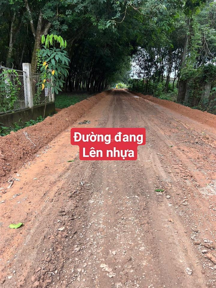 Bán đất trừ văn thố, thành phố hồ chí minh