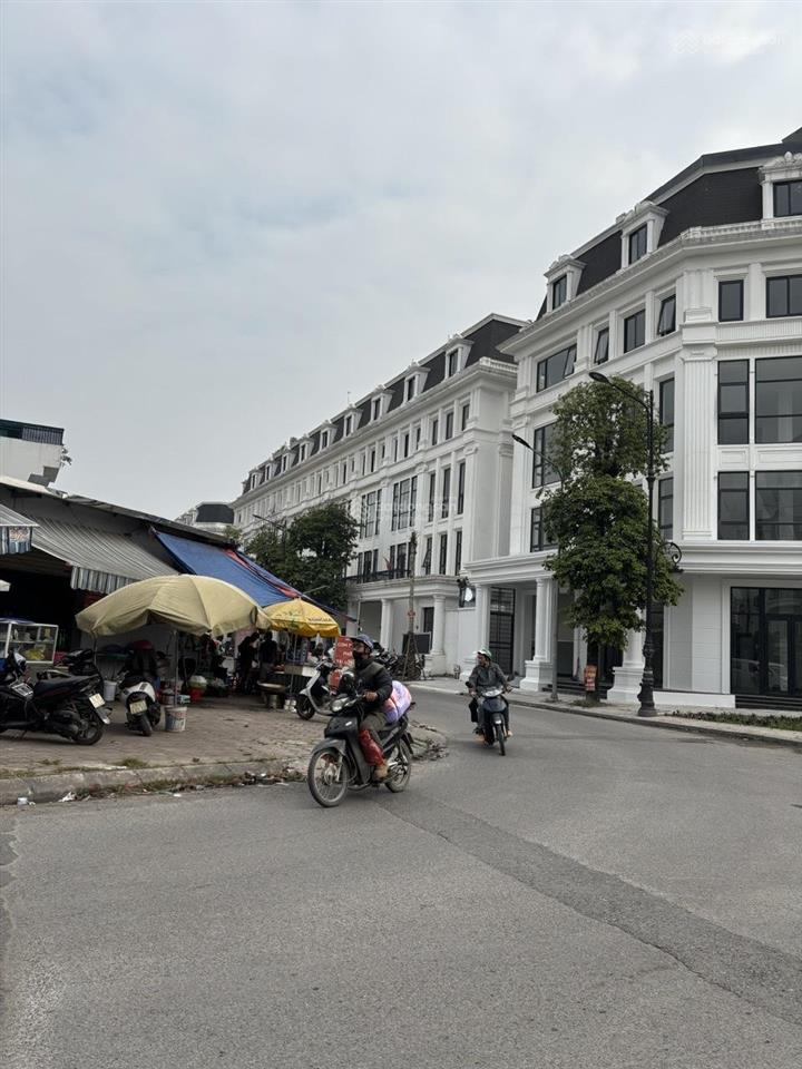 Siêu phẩm hoàng mai đất phân lô louis city  mặt tiền 8m  31,8 tỷ kinh doanh