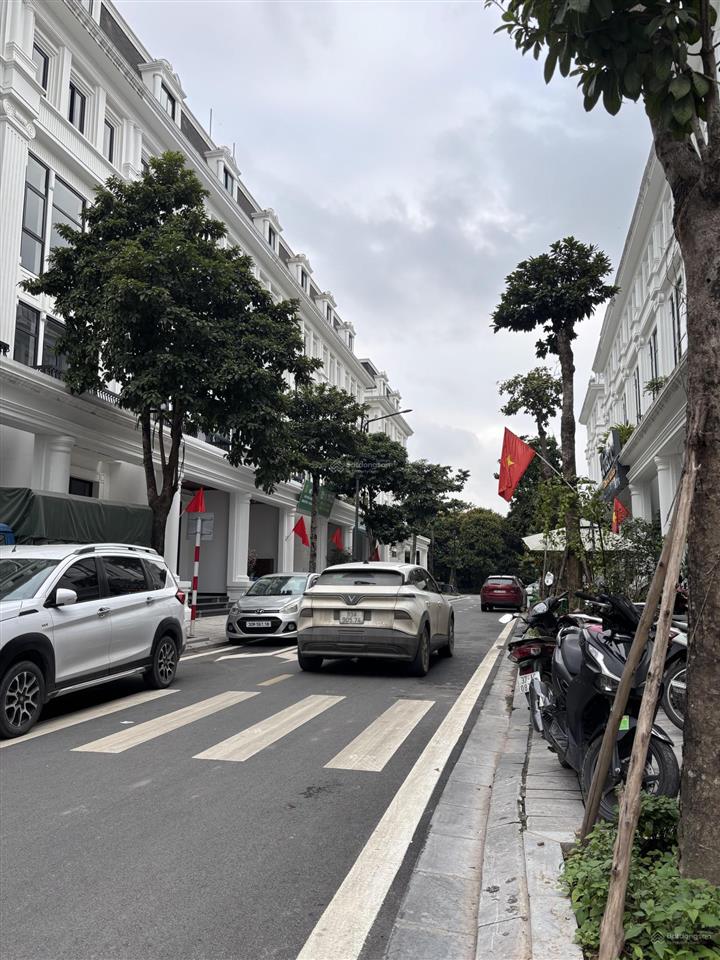 Đất liền kề louis city hoàng mai  107m2  31,8 tỷ  vị trí vàng  kinh doanh đắc địa
