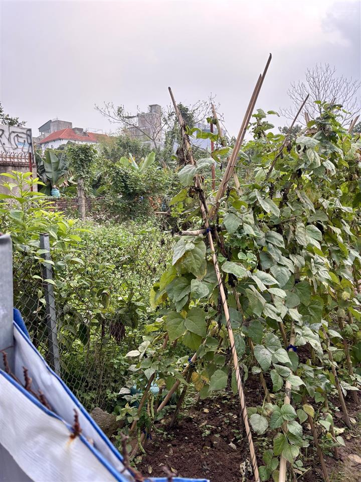 Đất thúy lĩnh 475m 4,98 tỷ 2 mặt ngõ  ô tô thông  giá trị khai thác cao