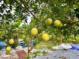 Đất vàng yên mỹ  358m  4,1 tỷ gần hồ sinh thái  ô tô vào tận đất