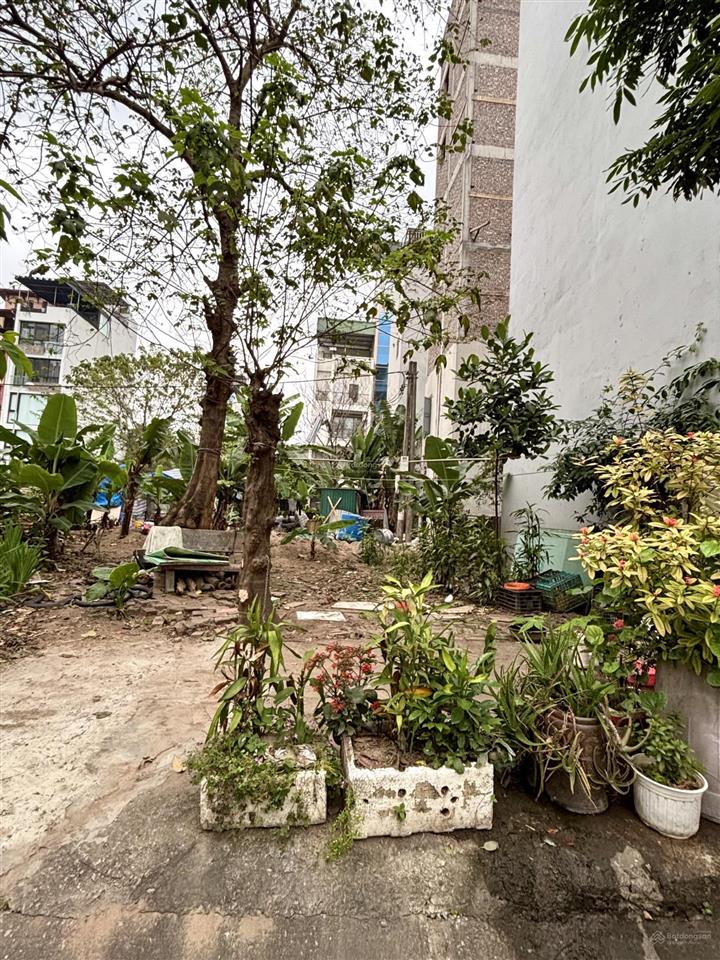 Mảnh đất x2a hưng thịnh, yên sở  lô góc 3 thoáng 80m2  25,8 tỷ kinh doanh đỉnh