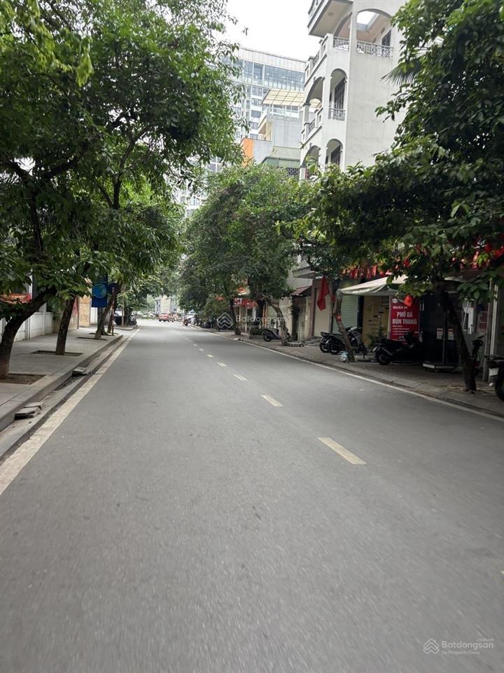 Biệt thự hoàng cầu 4 tầng 90m2 lô góc phân lô vip đống đa  51,8 tỷ
