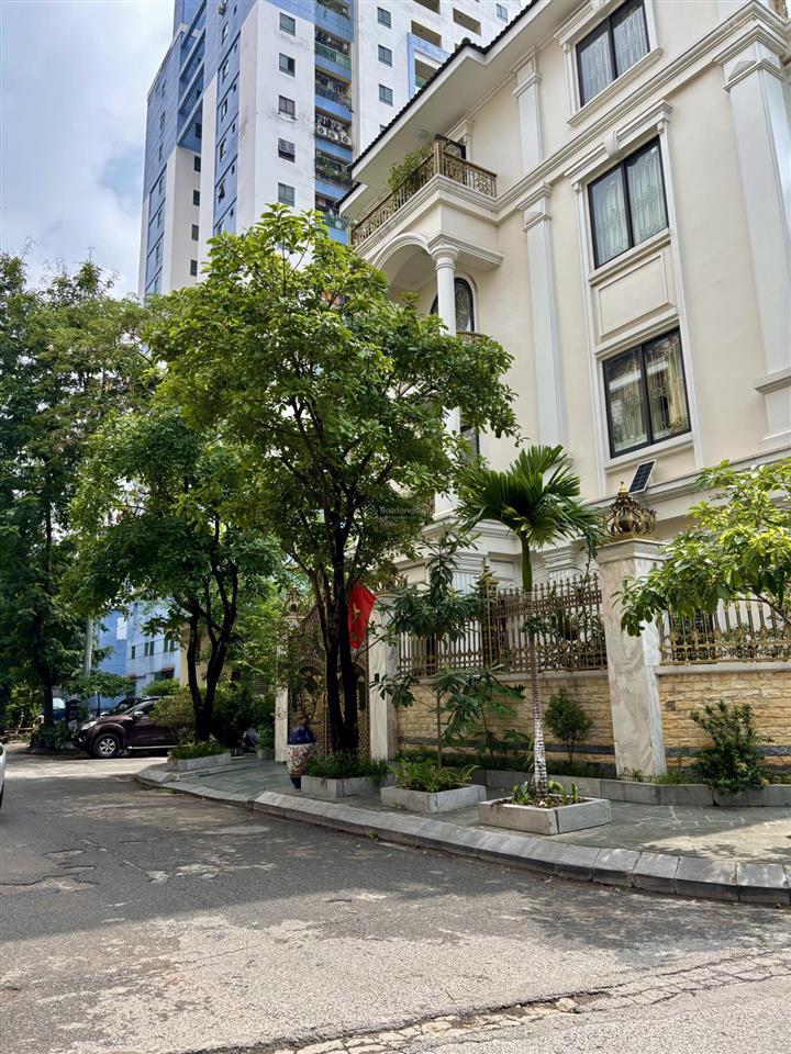 Siêu biệt thự vĩnh hoàng tân cổ điển châu âu 4 tầng185m2 67,5 tỷ