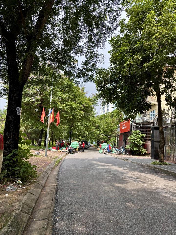 Siêu biệt thự vĩnh hoàng tân cổ điển châu âu 4 tầng185m2 67,5 tỷ