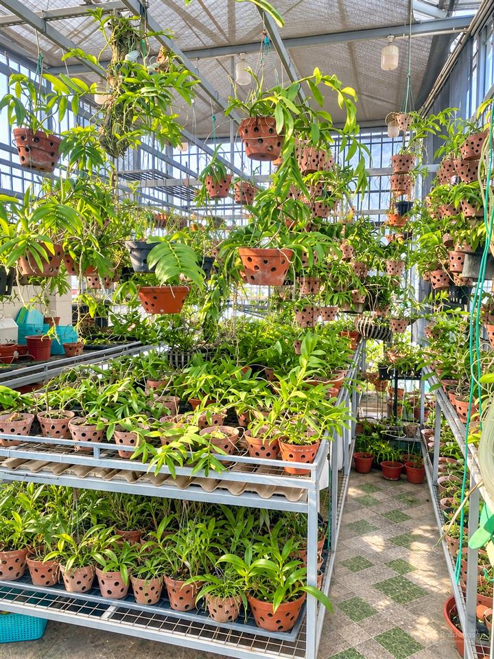 Nhà tôn đức thắng 50m2 mới coong lô góc8 tầng thang máy ô tô tránh ngõ thông full nội thất