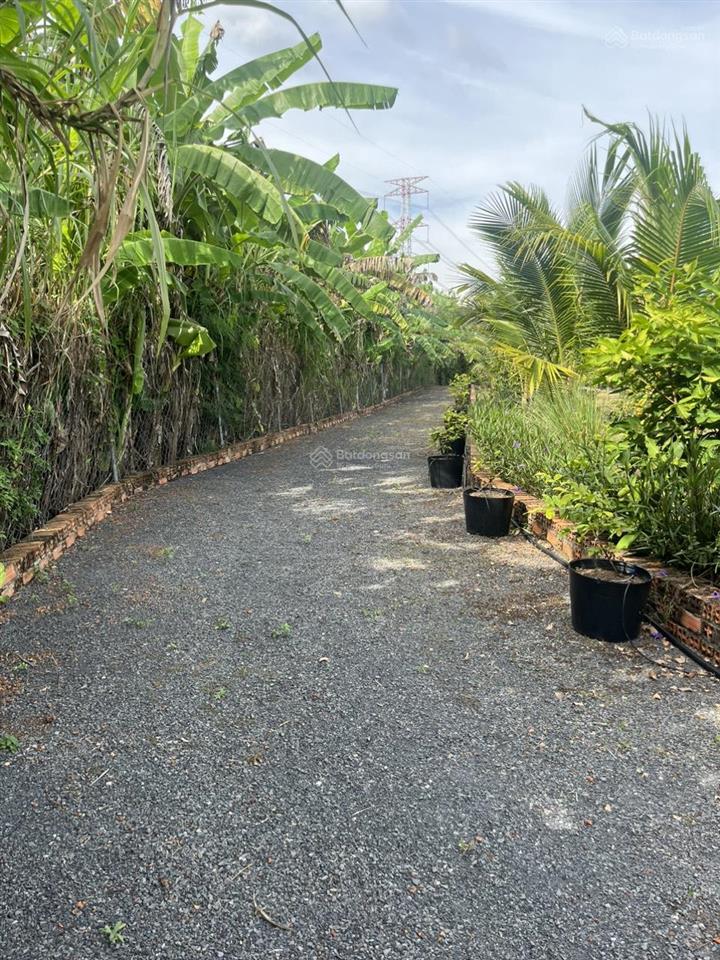 1ha đất vườn nghỉ dưỡng  giá rẻ  pháp lý rõ  cách dt 767 chỉ 5 phút di chuyển