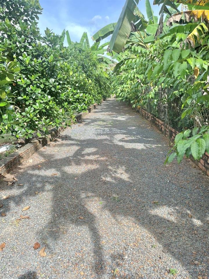 1ha đất vườn nghỉ dưỡng  giá rẻ  pháp lý rõ  cách dt 767 chỉ 5 phút di chuyển