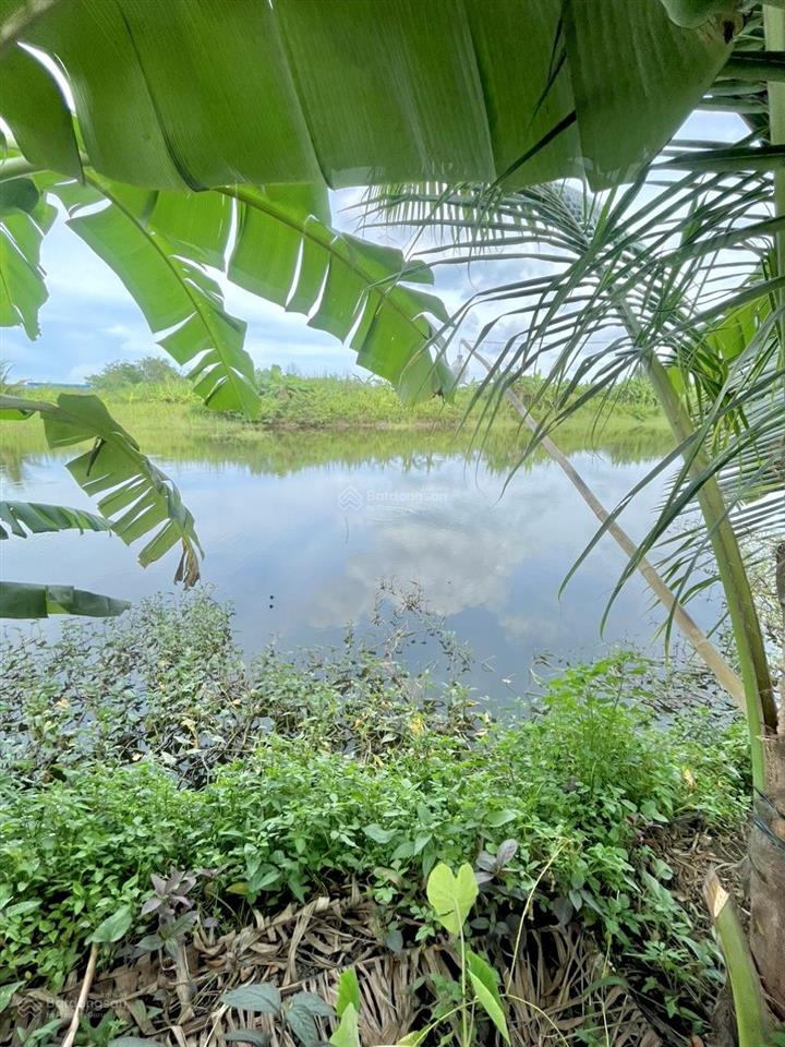 1ha đất vườn nghỉ dưỡng  giá rẻ  pháp lý rõ  cách dt 767 chỉ 5 phút di chuyển