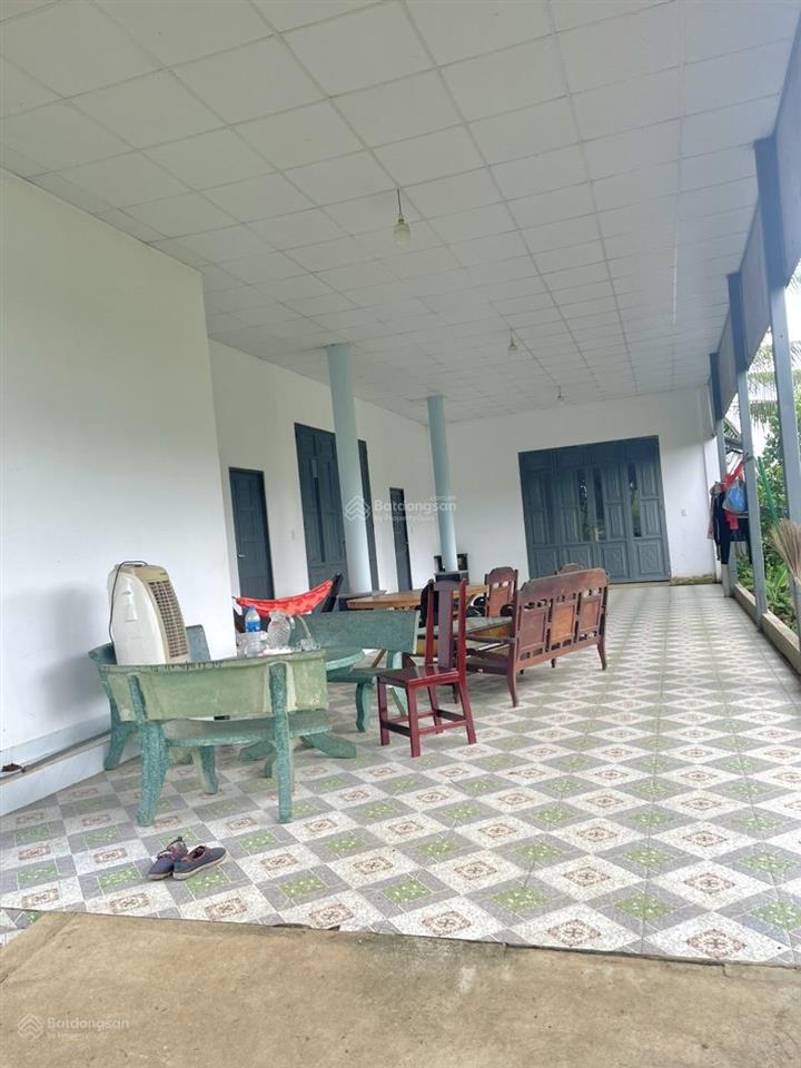 1ha đất vườn nghỉ dưỡng  giá rẻ  pháp lý rõ  cách dt 767 chỉ 5 phút di chuyển