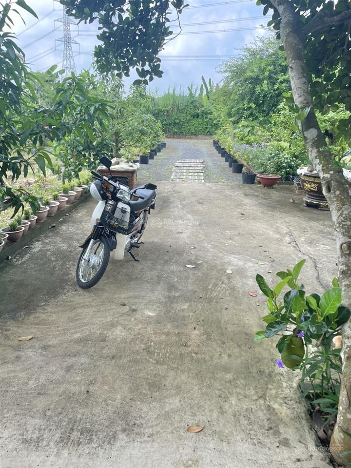 1ha đất vườn nghỉ dưỡng  giá rẻ  pháp lý rõ  cách dt 767 chỉ 5 phút di chuyển