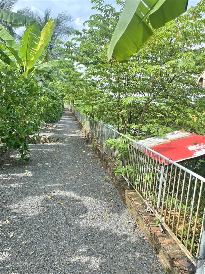 1ha đất vườn nghỉ dưỡng  giá rẻ  pháp lý rõ  cách dt 767 chỉ 5 phút di chuyển