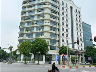 Bán đất 300m2 mặt phố hồng tiến mặt phố 8 làn ôtô chạy, vỉa hè 10m kinh doanh bất chấp