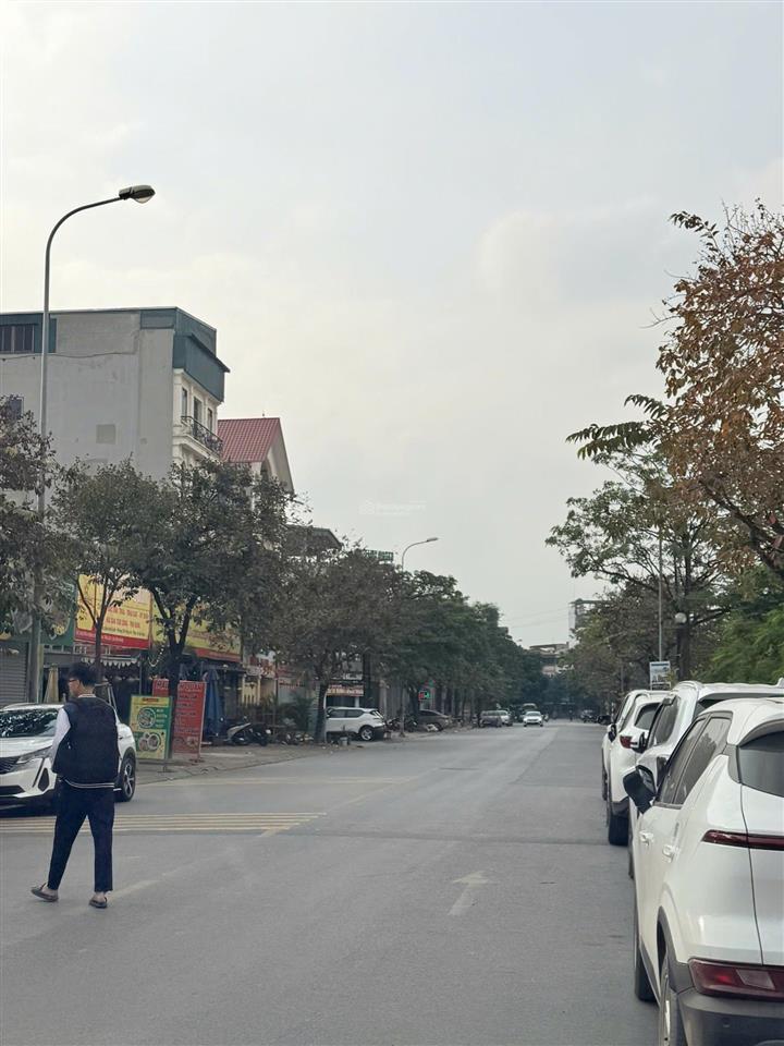Cần bán biệt thự việt hưng 202m² trục chính bùi thiện ngộ vị trí hiếm kinh doanh bất chấp