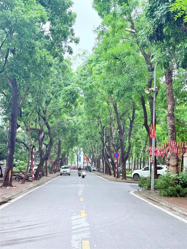 Bán biệt thự 240m2 bt08 khu đô thị việt hưng view công viên  hàng xóm trường marie curie