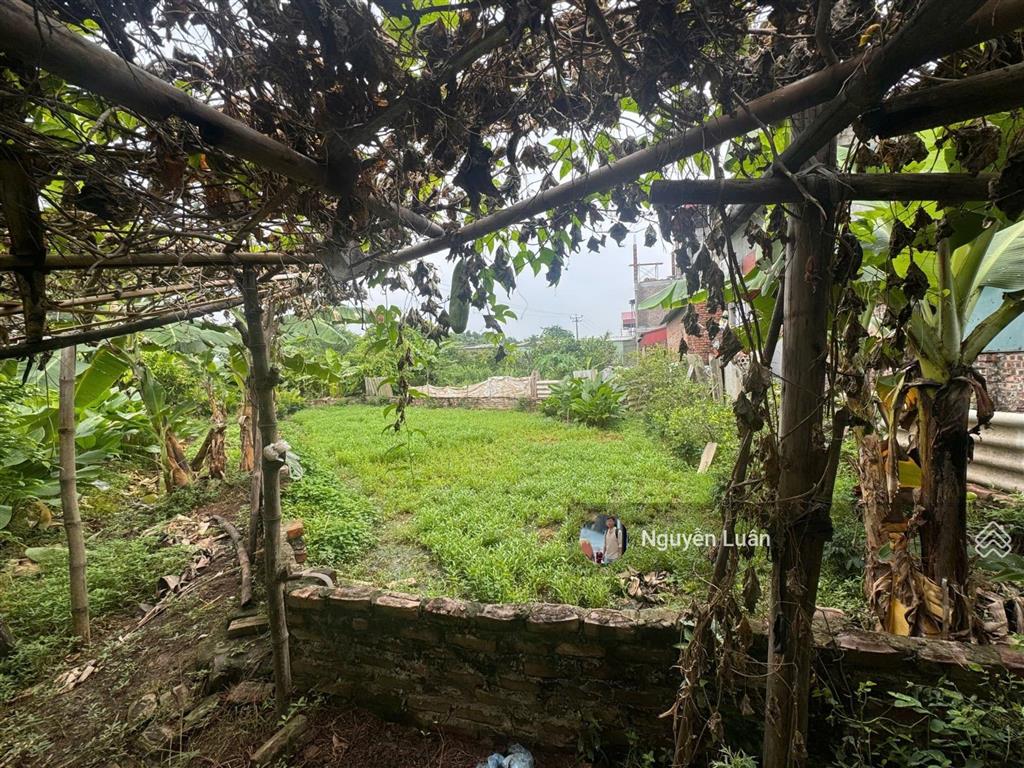 Bán đất 131m2 xuân thụy kiêu kỵ gia lâm, đường ôtô vào đất