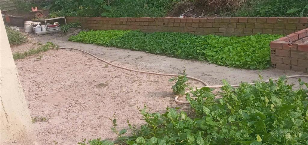 Bán đất thổ cư , phường tân chánh hiệp quận 12 , tphcm giá 3,7 tỷ