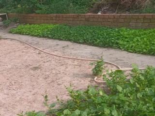 Đất full thổ cư tân chánh hiệp q12 giá rẻ như hóc môn cần bán gấp 3ty7