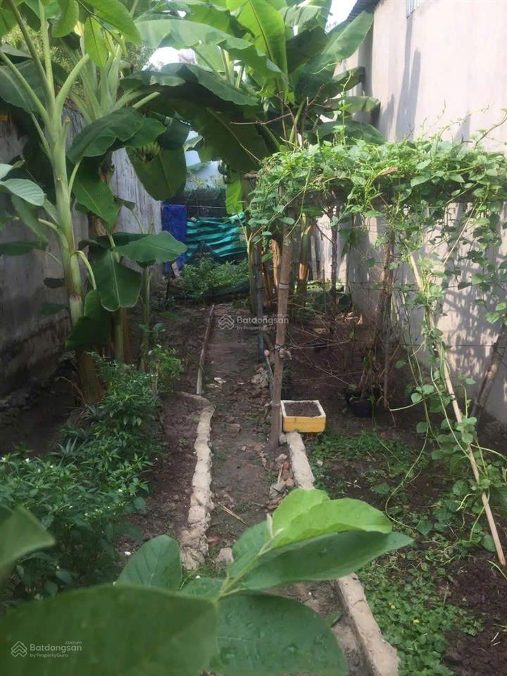 Bán dãy trọ và 1 kiot mặt tiền nhựa tại củ chi tphcm , giá chỉ 1,850 tỷ (100)