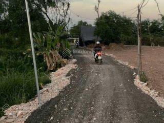 Bán 1000m2 đất trồng cây xã thới tam thôn cũ hóc môn tphcm giá 5 tỷ (49)