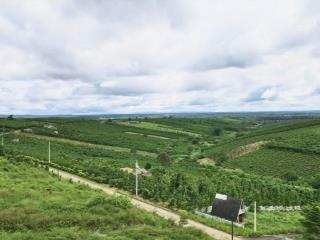 Khu đất thổ cư, đường nhựa 10m lộc quảng, giá f0 giá tham khảo tốt trong khu vực, view thoáng đẹp