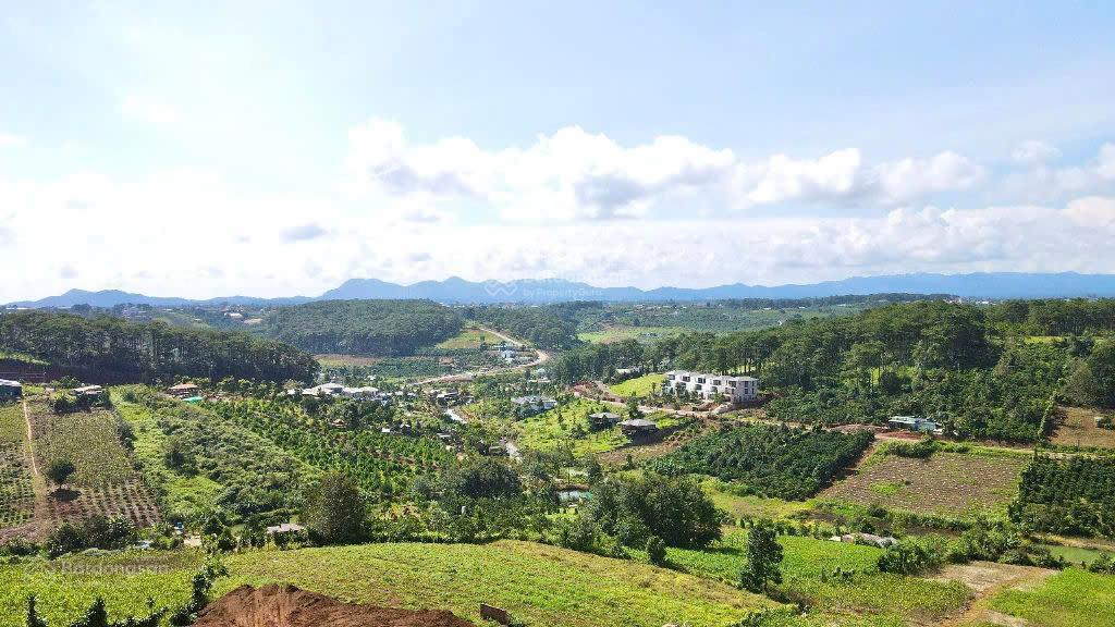 3000m2 đất thổ cư, mặt đường chính lộc tân, view đồi cao, rừng thông rất đẹp