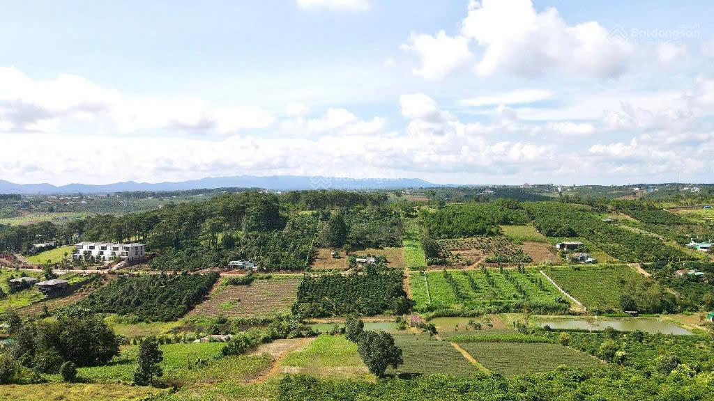 3000m2 đất thổ cư, mặt đường chính lộc tân, view đồi cao, rừng thông rất đẹp