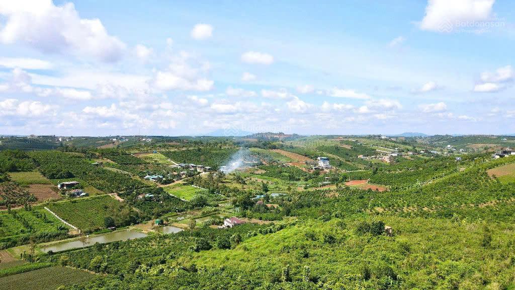 3000m2 đất thổ cư, mặt đường chính lộc tân, view đồi cao, rừng thông rất đẹp