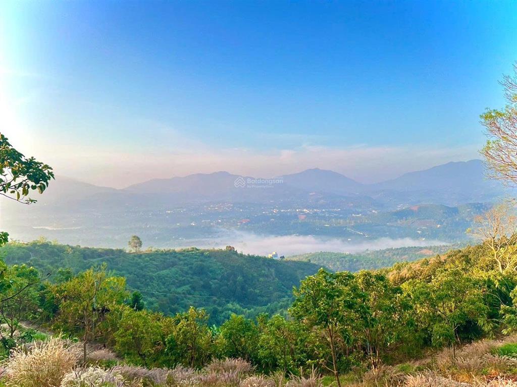 Chỉ 1,2 tỷ cho lô đất 1153.6m2 view săn mây cực kì đẹp gần ngay dự án the leaf town bảo lộc