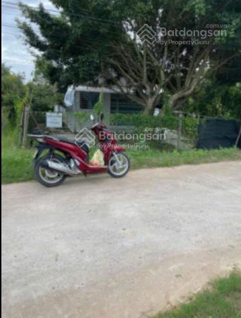 Vĩnh long chính chủ cần bán nhà cafe view sông, mặt tiền đường nhựa lớn ô tô 50 chỗ tới tận nơi