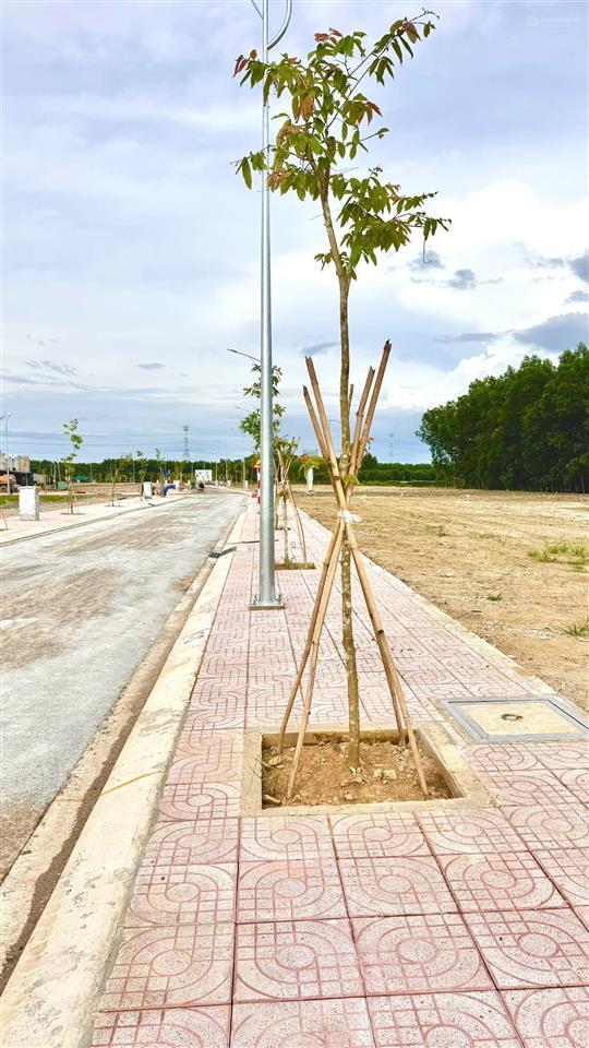 Đất mặt tiền hương lộ 9, phường tân triều, mới ra sổ  giá gốc đầu tư  trả trước chỉ từ 300 triệu