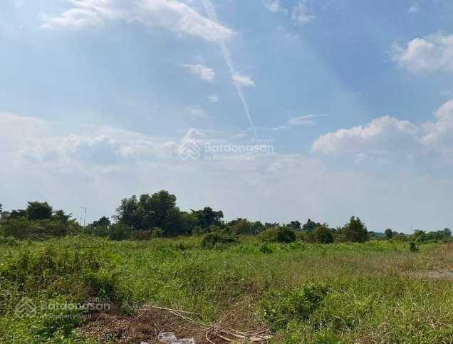 Truông mít, hàng hiếm 1.5ha đẹp như hoa hậu mặt tiền đt 784, truông mít, dương minh châu, tây ninh