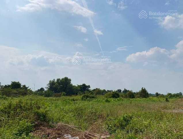 Truông mít, hàng hiếm 1.5ha đẹp như hoa hậu mặt tiền đt 784, truông mít, dương minh châu, tây ninh