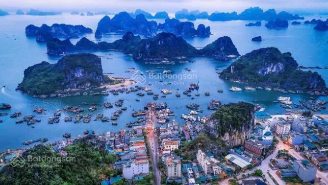 Chỉ 1,7 tỷ sở hữu ngay căn hộ view vịnh bái tử long và công viên tại vân đồn quảng ninh