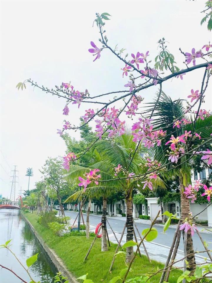 Bắt đáy liền kề diện tích 90m2 view khu hỗn hợp văn phòng, kinh doanh cho thuê tiềm năng