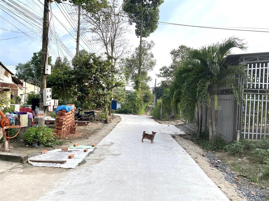Chính chủ bán lô đất xây biệt thự vườn ~ 200m2 (10x20m), sổ hồng riêng, gần sân bay long thành